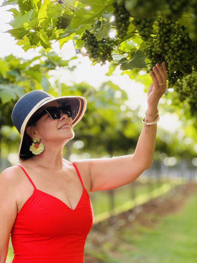 Vinicula 7 Evas Ana Paula 3 768X1024 1